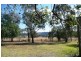 Orange NSW 2800