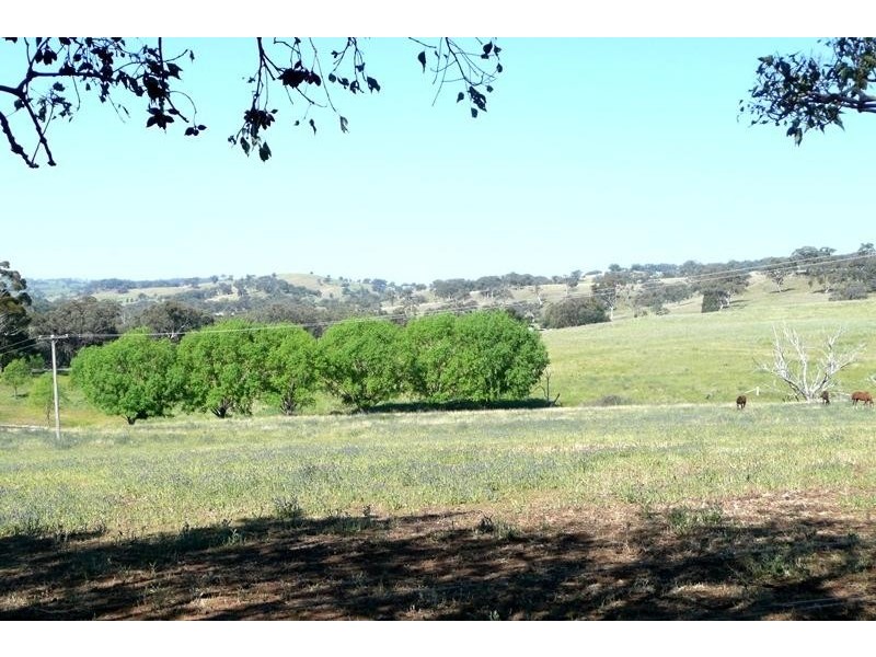 Orange NSW 2800