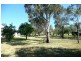 Orange NSW 2800