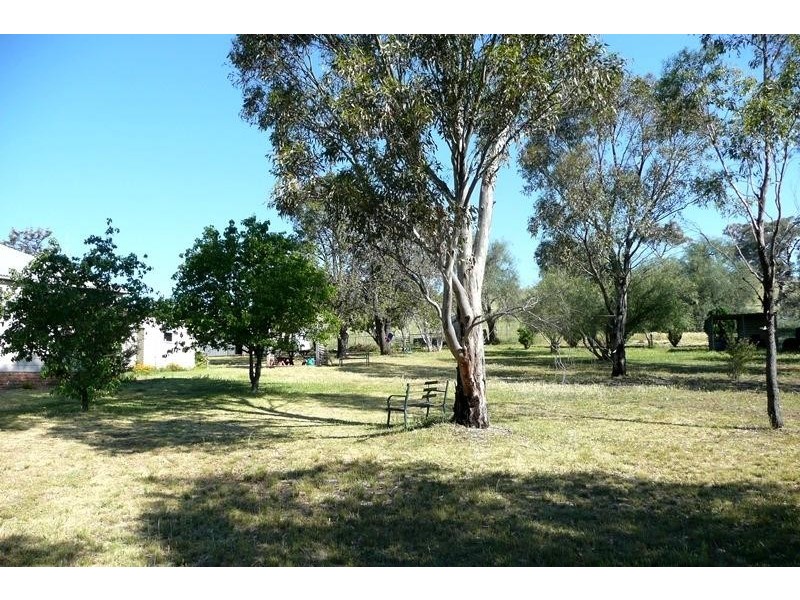 Orange NSW 2800