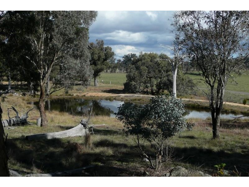 Orange NSW 2800