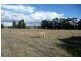 Orange NSW 2800