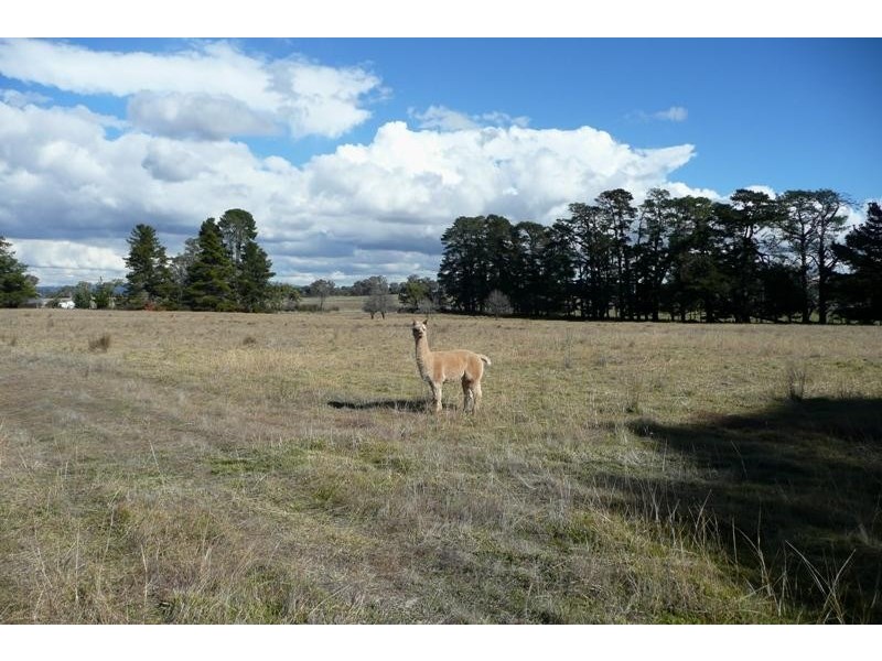 Orange NSW 2800