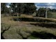 Orange NSW 2800