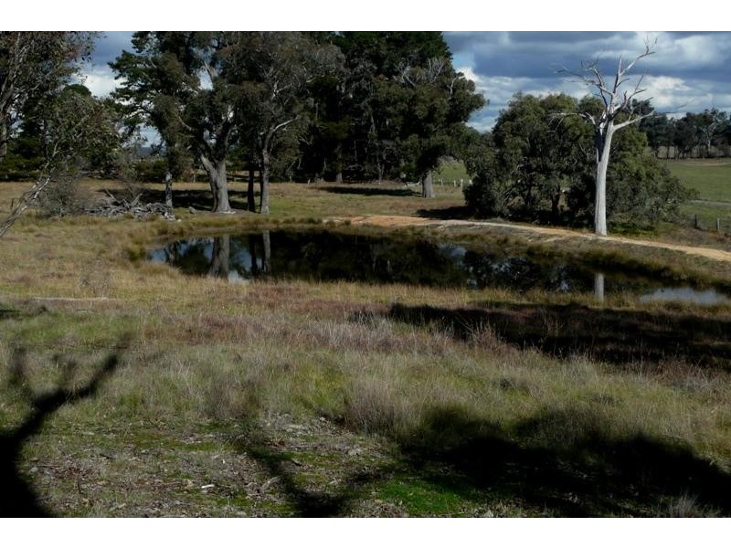 Orange NSW 2800