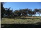 Orange NSW 2800