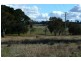 Orange NSW 2800