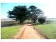 Manildra NSW 2865