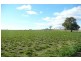 Manildra NSW 2865