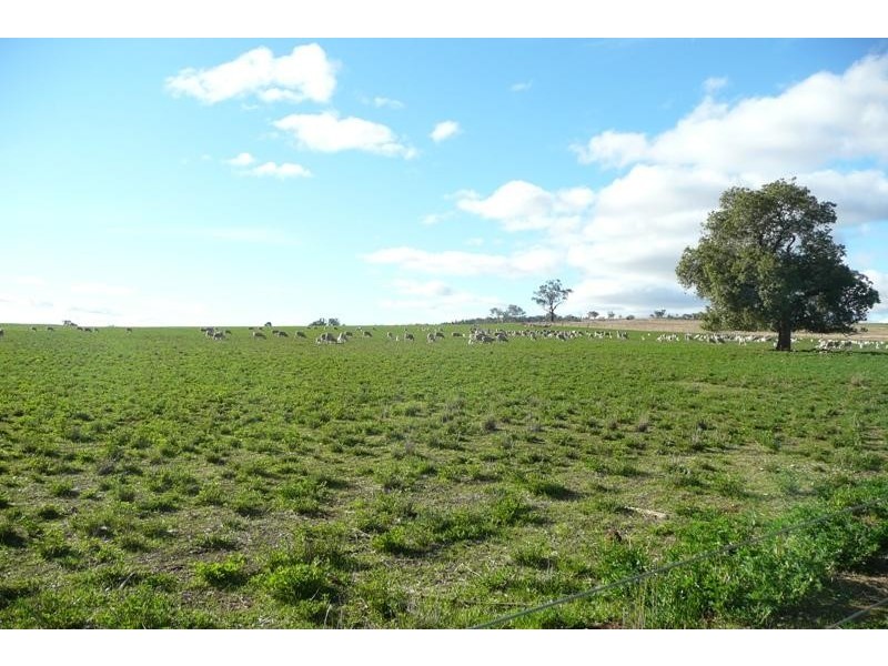 Manildra NSW 2865
