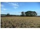 Orange NSW 2800