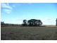 Orange NSW 2800