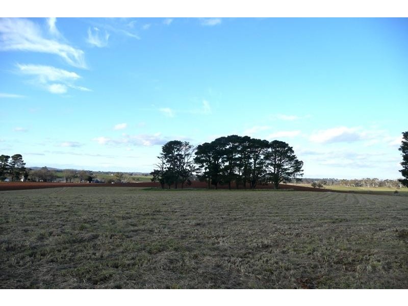 Orange NSW 2800