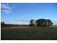 Orange NSW 2800
