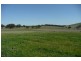 Blayney NSW 2799