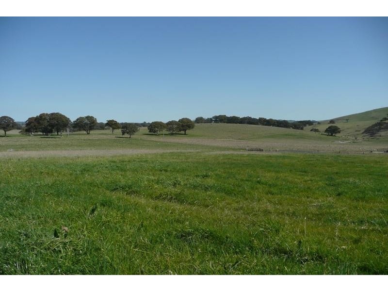 Blayney NSW 2799