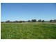 Blayney NSW 2799
