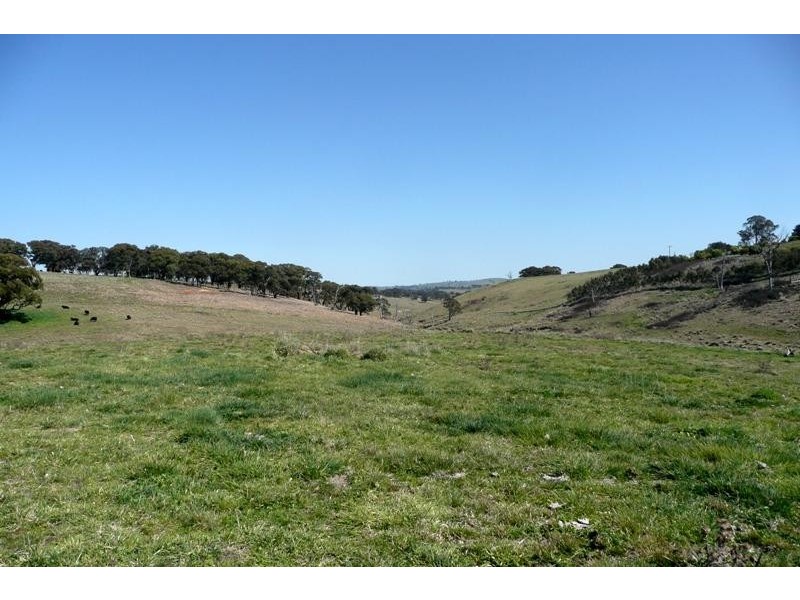Blayney NSW 2799