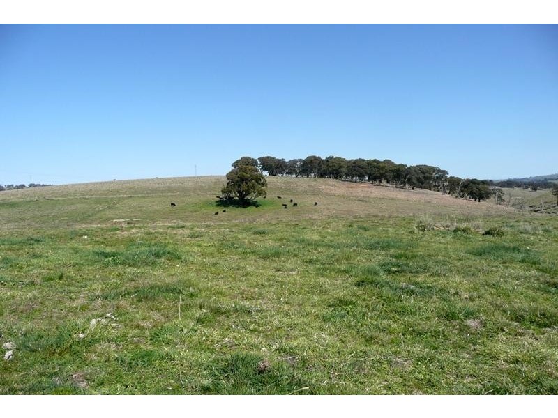 Blayney NSW 2799