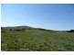 Blayney NSW 2799
