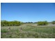 Blayney NSW 2799