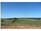 Blayney NSW 2799