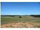 Blayney NSW 2799