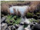 Blayney NSW 2799