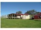 Orange NSW 2800