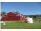 Orange NSW 2800