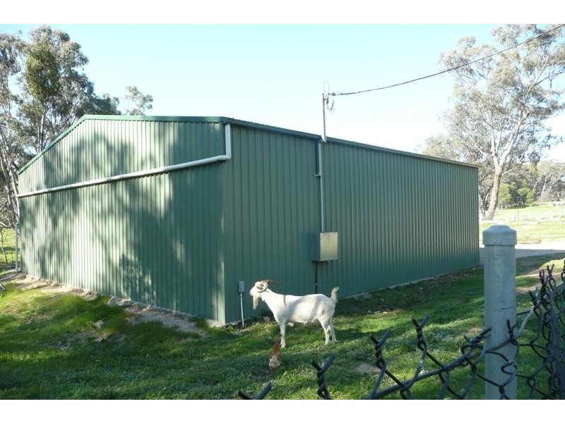 Orange NSW 2800