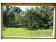 Orange NSW 2800