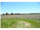 Manildra NSW 2865