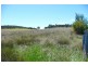 Manildra NSW 2865