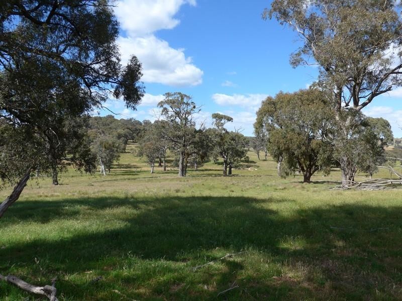 Blayney NSW 2799