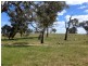 Blayney NSW 2799