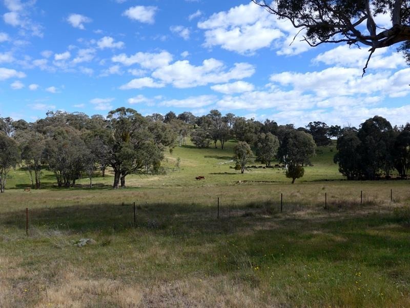 Blayney NSW 2799