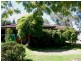 Orange NSW 2800