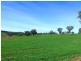 Cumnock NSW 2867
