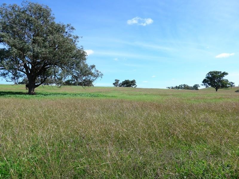Cumnock NSW 2867