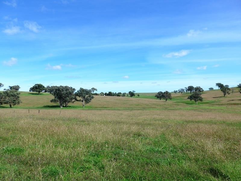 Cumnock NSW 2867