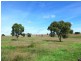 Cumnock NSW 2867