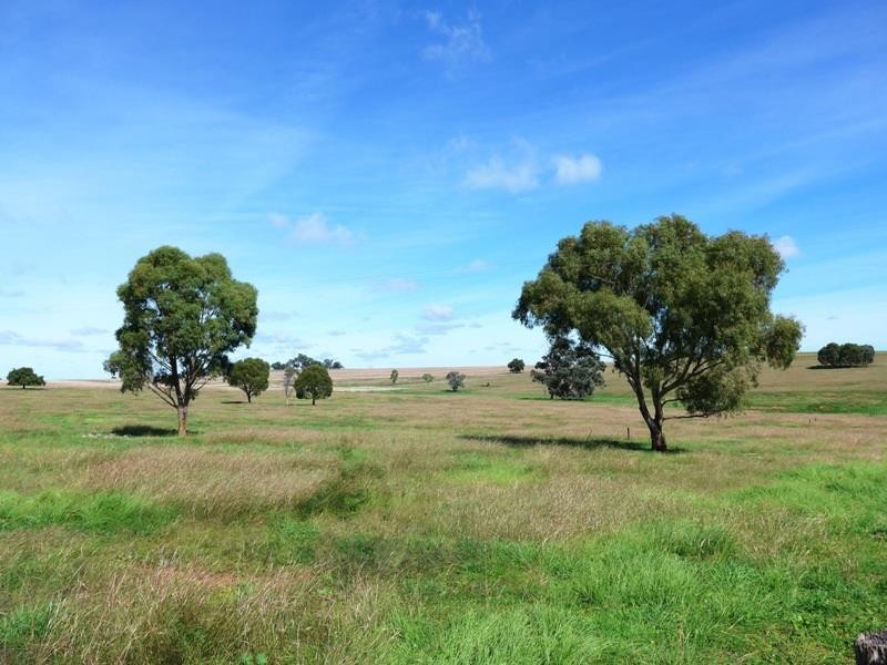 Cumnock NSW 2867