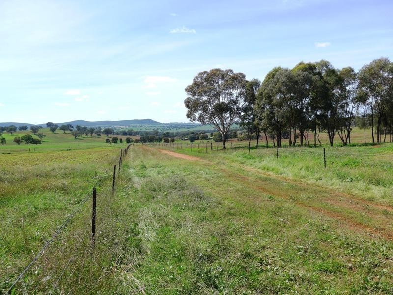 Cumnock NSW 2867