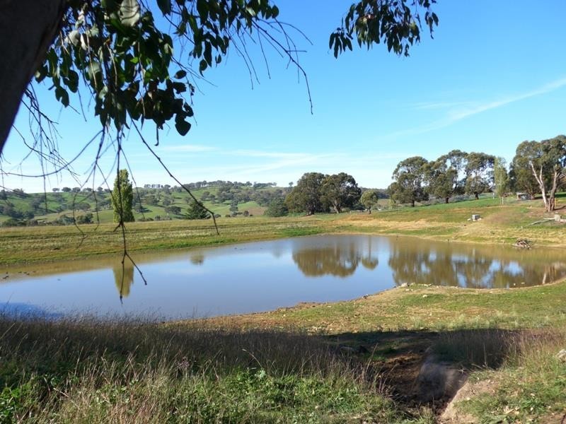Orange NSW 2800