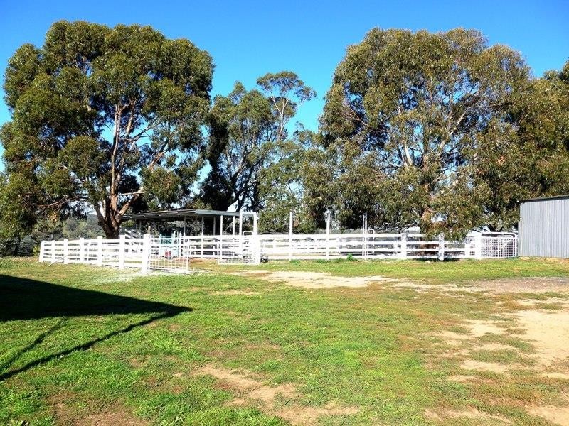 Orange NSW 2800