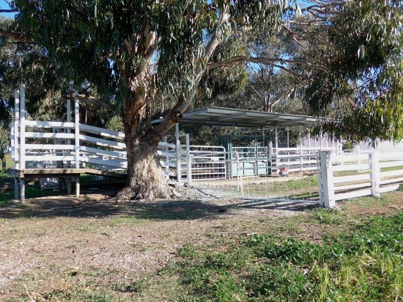 Orange NSW 2800