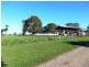 Orange NSW 2800