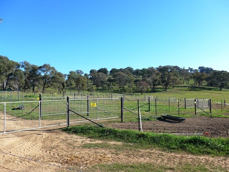 Orange NSW 2800