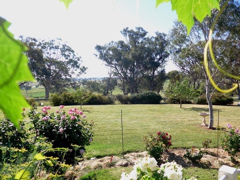 Orange NSW 2800